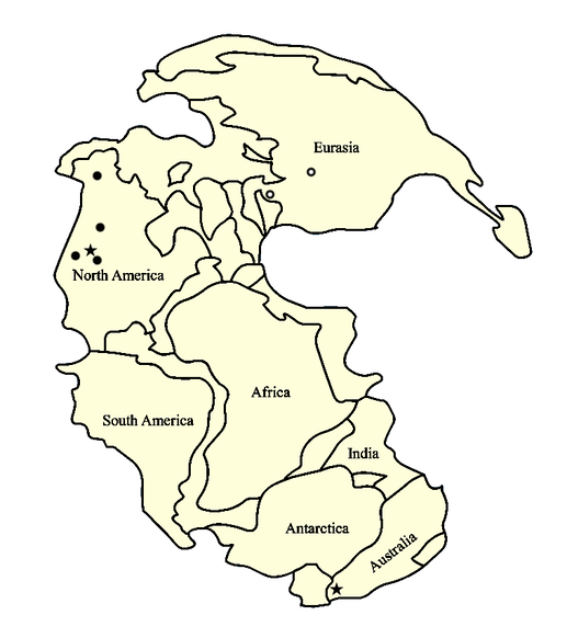 The ancient continent of Pangaea approximately 250 million years ago.picture
