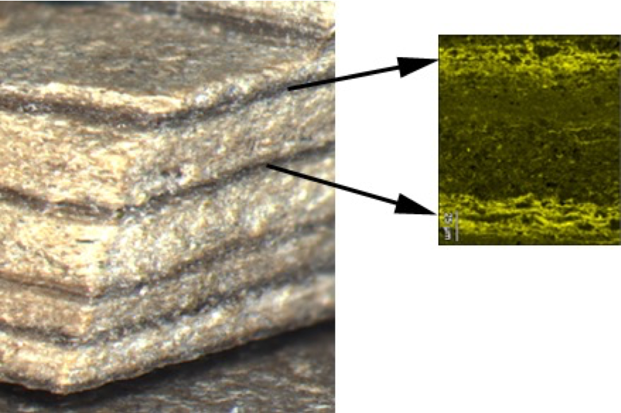 A close-up of the oil shale showing annual layers of carbon-rich material (yellow) derived from algal mats that covered Lake Kishenehn.picture